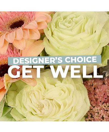 Get Well Florals Designer's Choice in Culpeper, VA | ENDLESS CREATIONS FLOWERS AND GIFTS