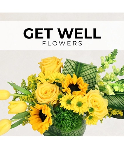 Get Well Florist’s Pick Designer's Choice