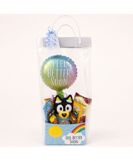Get Well Gift Box  