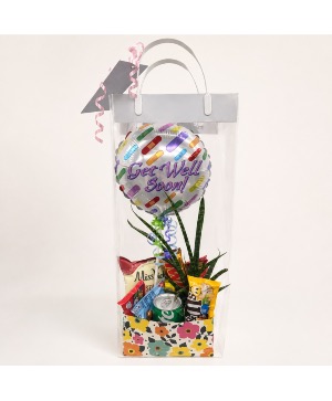 Get Well Plant & Gift Box  
