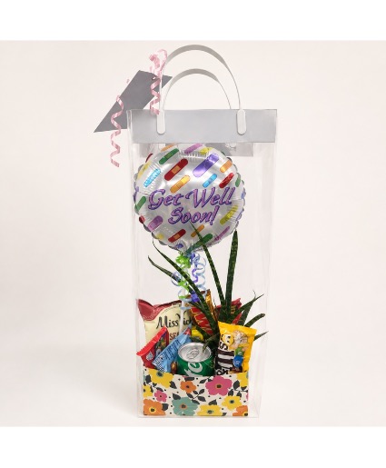 Get Well Plant & Gift Box  