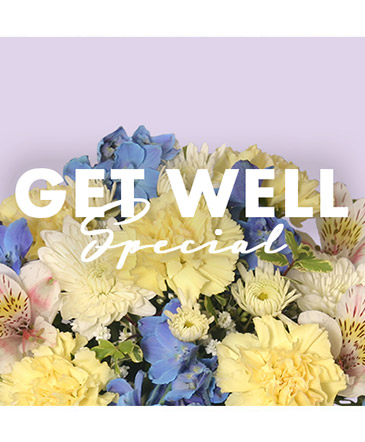Get Well Special Designer's Choice in Culpeper, VA | ENDLESS CREATIONS FLOWERS AND GIFTS