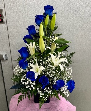 No te imaginas Blue Roses