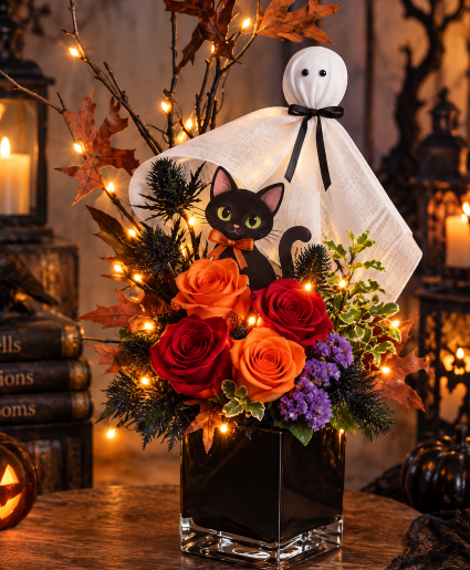 Ghostly Purrs & Midnight Blooms Call Us for Faster Service & Daily Specials: (915) 303-8500 Text Us to Order Anytime: (915) 505-3708 Your trusted source for Flowers & Delivery in El Paso TX 