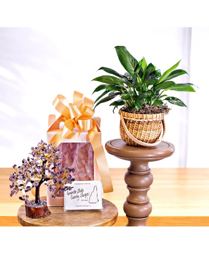 Gem Tree, Plant And Chocolates Gift Set 