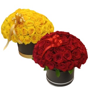 Gift Box 