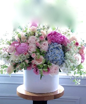 Pastel Perfect  