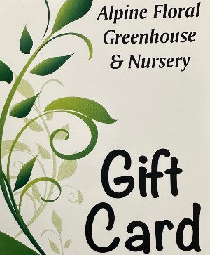 Gift Card Gift Card