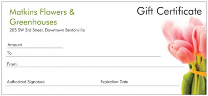 Gift Certificate Let them shop!