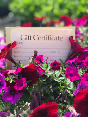 Gift Certificate Gift Certificate