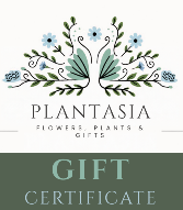 Gift Certificate  Redeemable Anytime