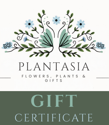 Gift Certificate  Redeemable Anytime in Laurel, MT | PLANTASIA FLOWERS, PLANTS & GIFTS