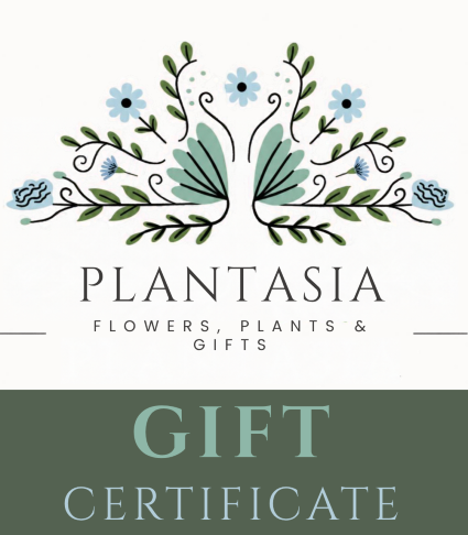 Gift Certificate  Redeemable Anytime