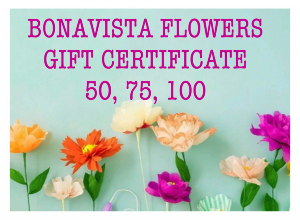 Gift certificate  Gift certificate 