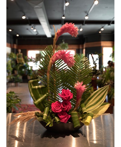 Gingerly Reminiscing  Tropical Display