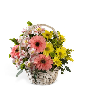 Girls Are Great D5-4043 Arrangement
