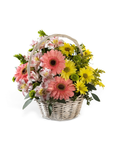 Girls Are Great D5-4043 Arrangement
