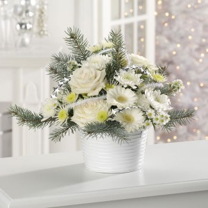 Glacial Whites 