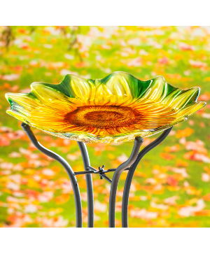Glass Bird Bath 