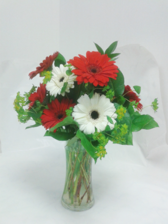 Glorious Gerberas 