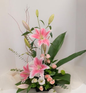 Glorious Pink Lilies 