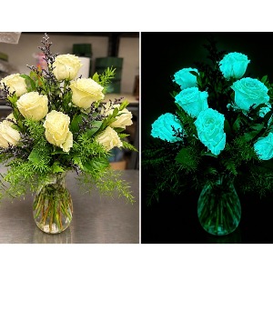 Glow & Behold Glow-in-the- Dark Roses Specialty Roses