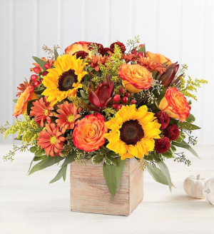 Glowing Autumn in Wood Cube Best Seller!!!