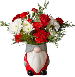 Gnome 