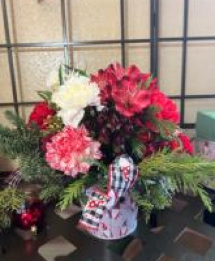 Gnome Christmas  