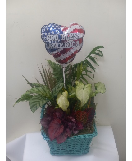 God bless America dish garden Plant