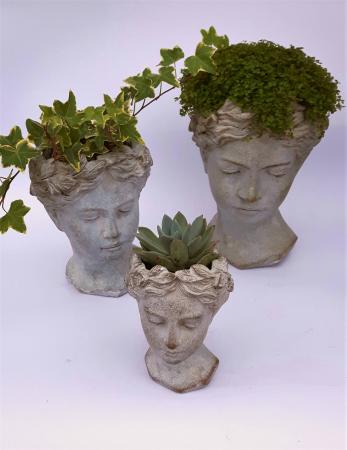 Goddess Planter Plant