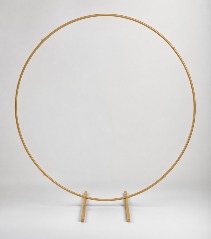 Gold Circle Arch Rental   