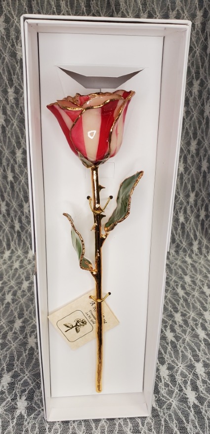 Gold Dipped Rose in Peppermint 