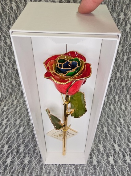Gold Trimmed Rose - Gypsy Rose 