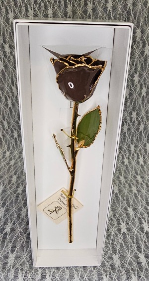 Gold Trimmed Rose in Milk Chocolate Brown 