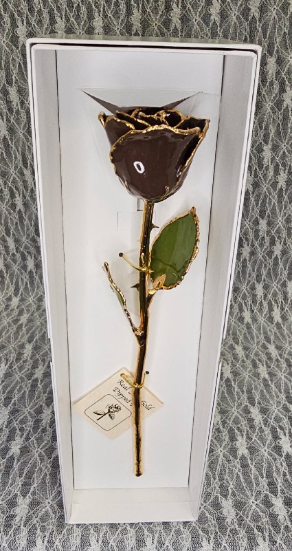 Gold Trimmed Rose in Milk Chocolate Brown 
