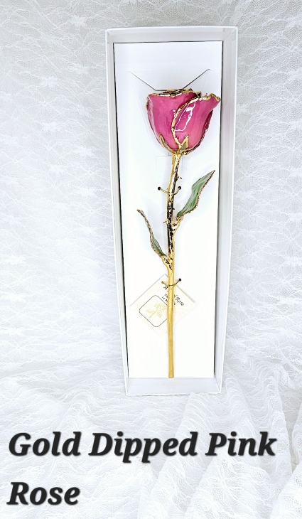 Gold Trimmed Rose in Pink 