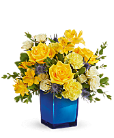 Golden Blue  