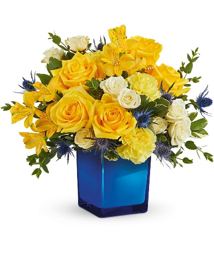 Golden Blue TEV70-4