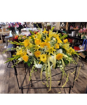 Golden Casket Spray 