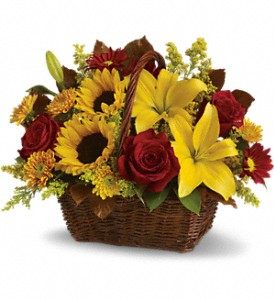 Golden Days with Red Roses 