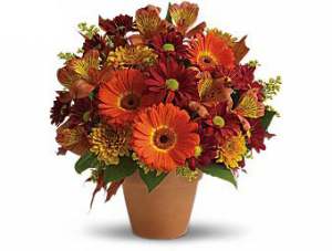 F100 - Golden Glow Arrangement