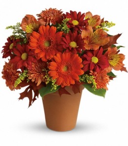 Golden Glow Fall Arrangement
