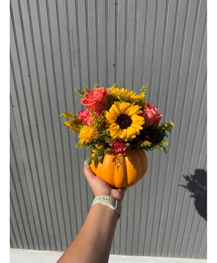 Golden Gourd Pumpkin 