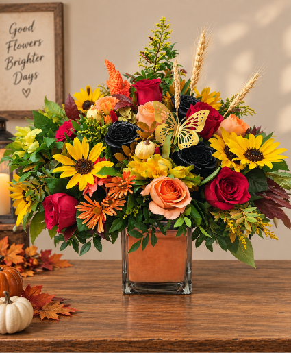 Golden Harvest Butterfly Garden Call Us for Faster Service & Daily Specials: (915) 303-8500 Text Us to Order Anytime: (915) 505-3708 Your trusted source for Flowers & Delivery in El Paso TX