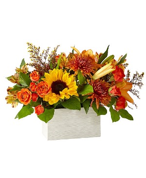Golden Hour Arrangement