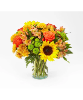 Golden Hour summer flowers