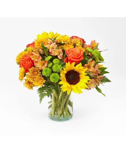 Golden Hour summer flowers