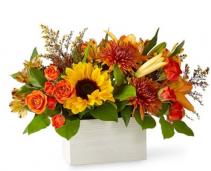 Golden Sunflower Box 