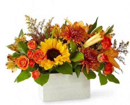 Golden Sunflower Box 